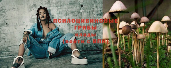 гашик Баксан
