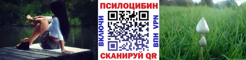 даркнет сайт  Сенгилей  omg ССЫЛКА  Псилоцибиновые грибы Magic Shrooms 
